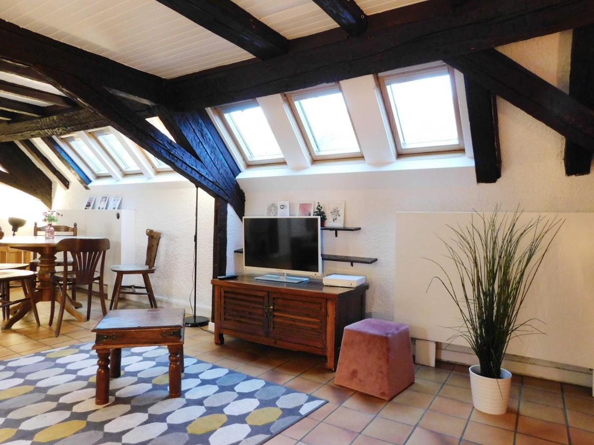 Appartement Typique Et Cosy A Deux Pas De La Cathedrale Straatsburg Buitenkant foto